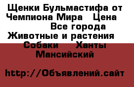 Щенки Бульмастифа от Чемпиона Мира › Цена ­ 1 000 - Все города Животные и растения » Собаки   . Ханты-Мансийский